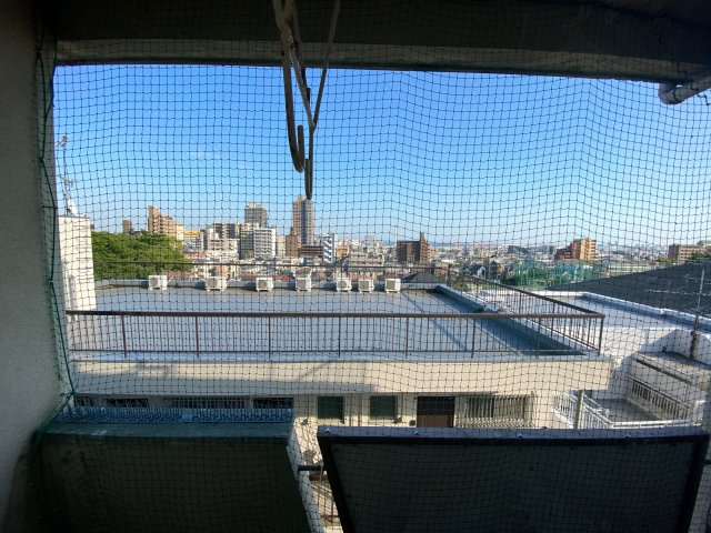 マンション白菊の展望