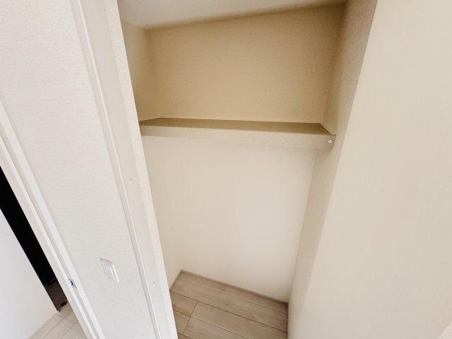 三郷市彦糸１丁目新築戸建の収納|5.25帖洋室収納