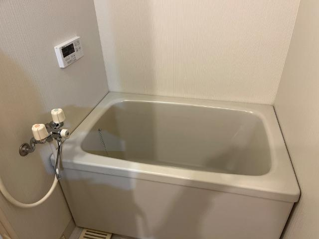 ＩＮＧＬＥ　ＳＩＤＥの浴室|バス