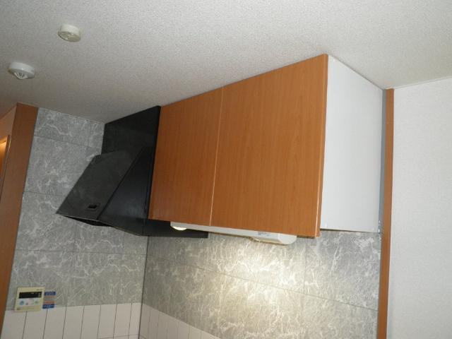 ラフィーヌ上野田Ⅱのキッチン|キッチン換気扇