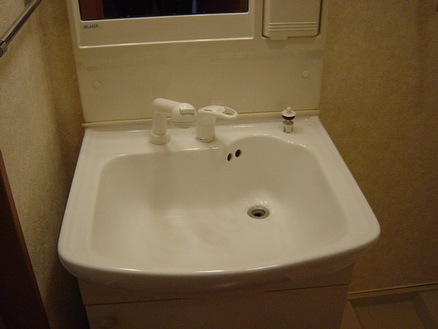 ラフィーヌ上野田Ⅱの洗面所|洗面