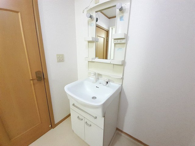 井ノ口ハイツⅡの洗面所