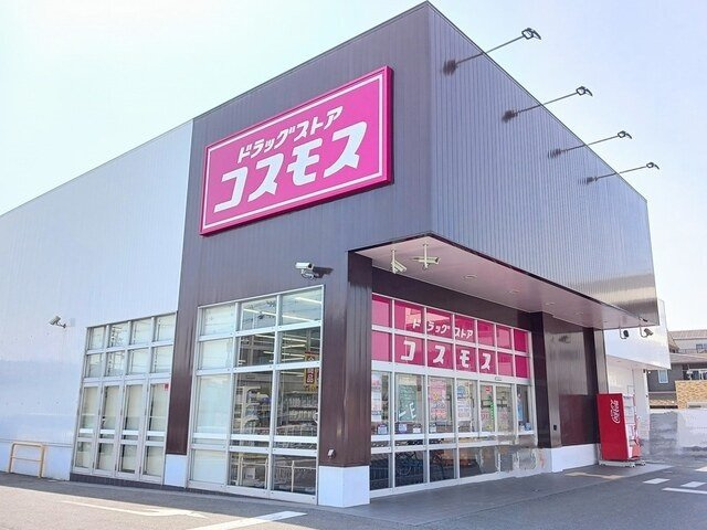 リアン寿Ｂの周辺|コスモスまで400m