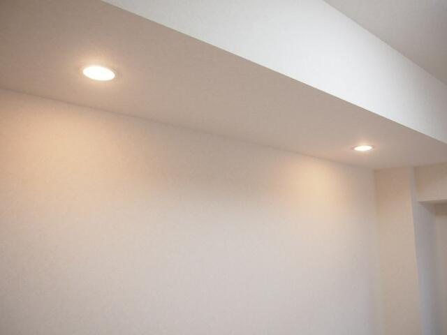 ルーブル両国弐番館の設備|ダウンライト 