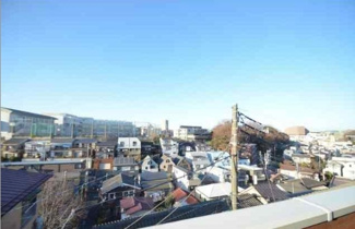 【展望】 | Wind flower