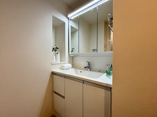 プレジール日本橋人形町の独立洗面台