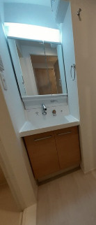 ヴィラ　フェリシア　小台橋の洗面所