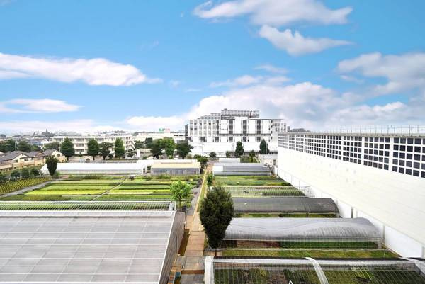 ビレッジハウス向台タワー1号棟のその他|ビレッジハウスの同一物件・同一タイプの間取りの写真です