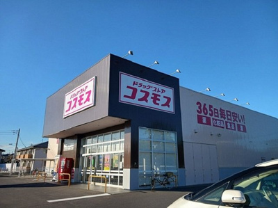 【周辺】 | エステートハイツｐａｒｔⅡ | コスモス　堀町店まで750m