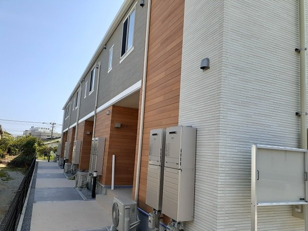 ＰＬＡＩＮ　桃の木