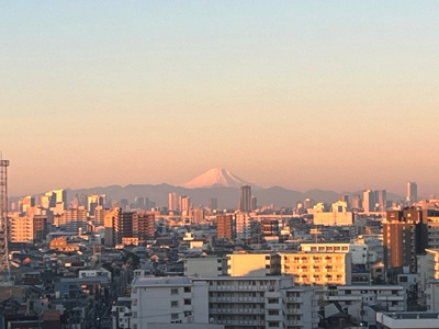 【展望】 | アクトヒルズ金町 | 眺望