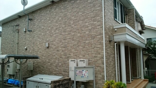 プラシード・Ｍ