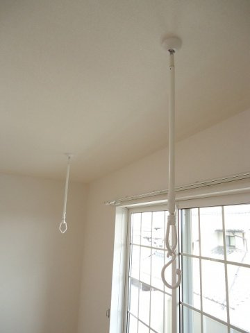 エソラのその他