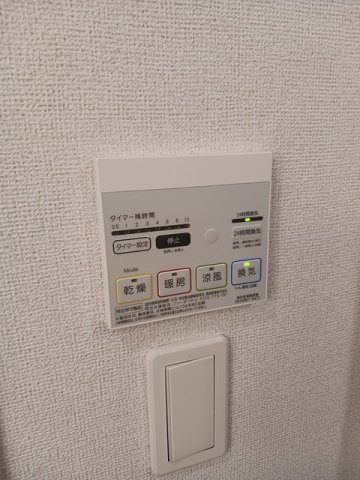 グレイスビオラのその他