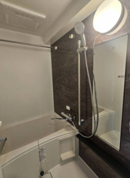 ACP Residence 亀戸の浴室