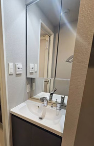 ACP Residence 亀戸の独立洗面台