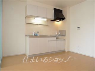 広島市安佐北区白木町大字井原のアパートのキッチン|浄水器一体型シャワー水栓