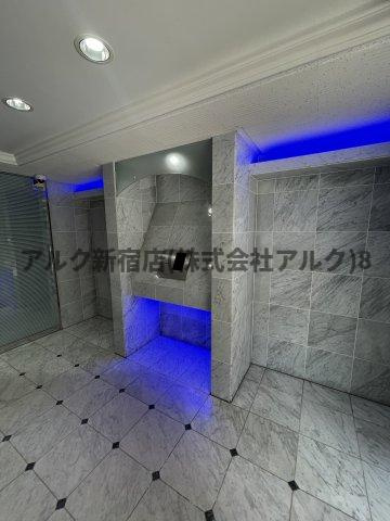 ガラ・グランディ西新宿のその他共用部分