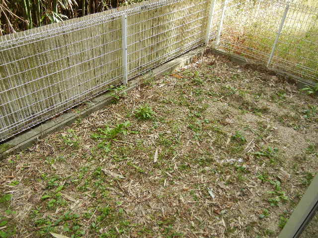 【庭】 | フィエルテ | フィエルテ(GoodHome)