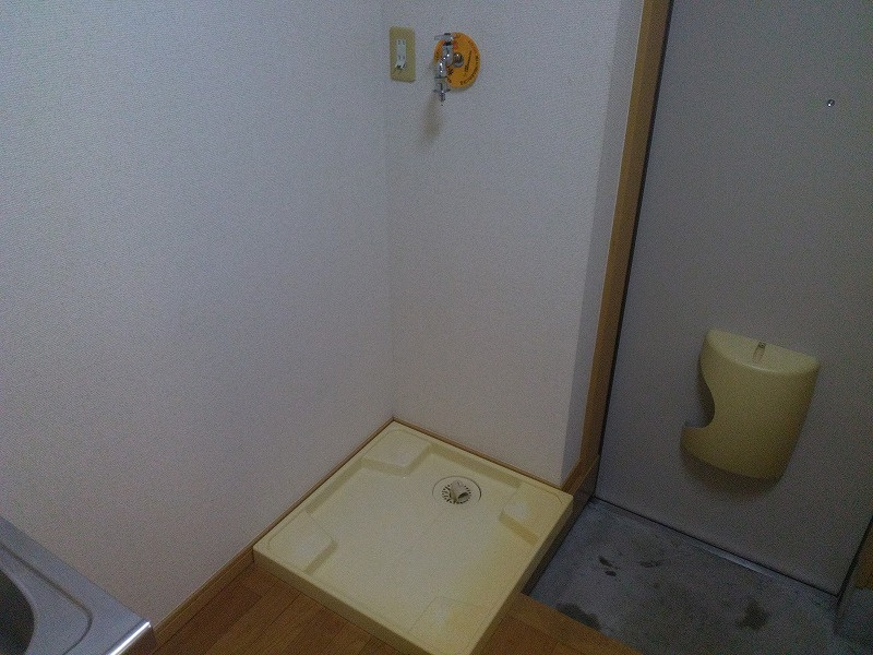厚木市三田南３丁目のアパートの玄関|洗濯機置き場
