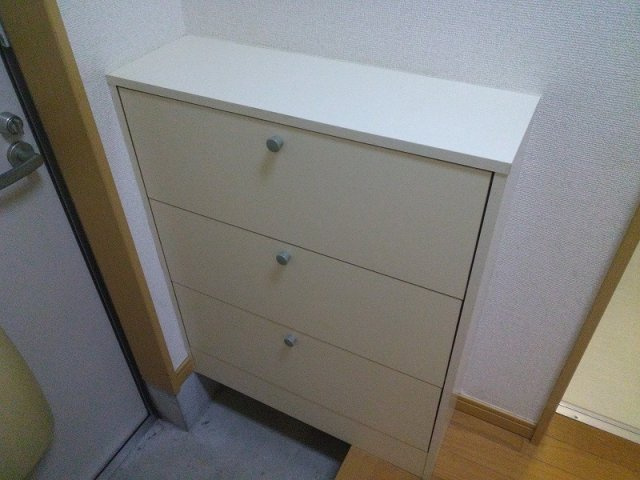 厚木市三田南３丁目のアパートの玄関|シューズボックスあります