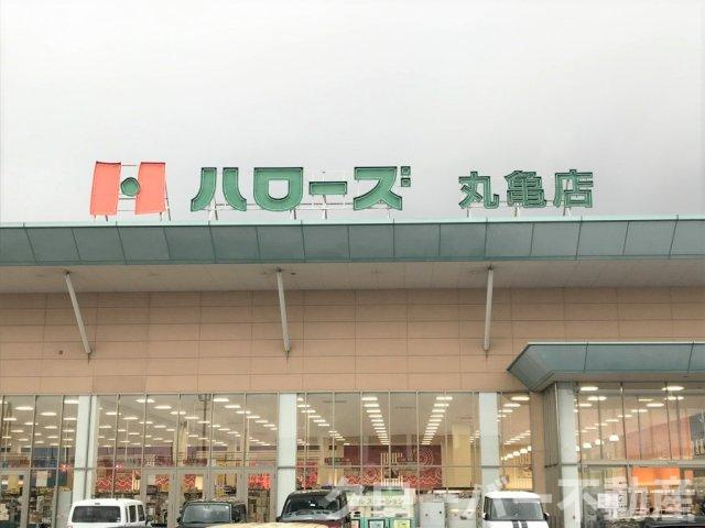 レオパレスＳｕｃｃｅｓｓの周辺