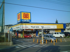 ドラッグストアまで317ｍ