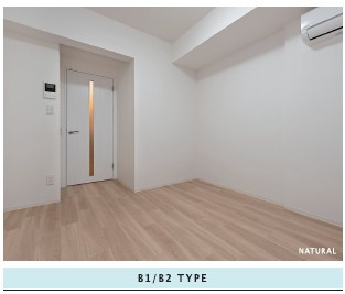 colortype（Natural）