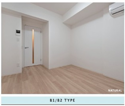 colortype（Natural）