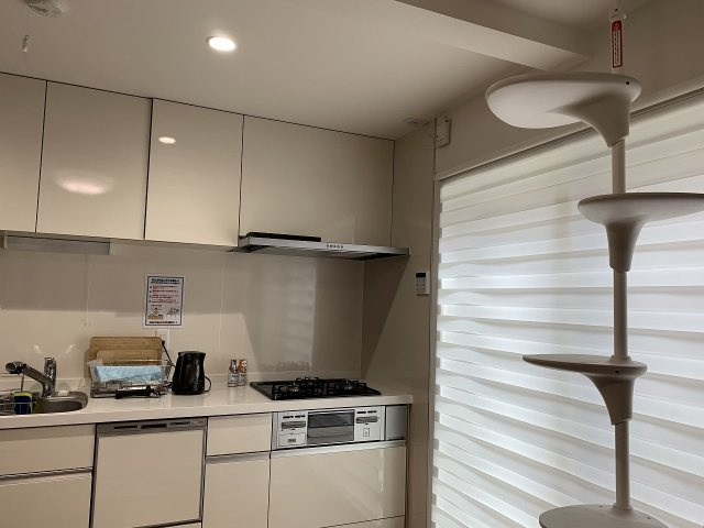 キャットタワー、キャットウォーク完備。猫ちゃんも喜びますね。