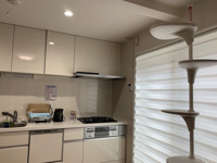 キャットタワー、キャットウォーク完備。猫ちゃんも喜びますね。