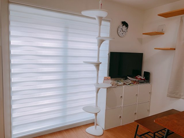 キャットタワー、キャットウォーク完備。猫ちゃんも喜びますね。