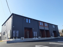 フランアンジュ　Ⅵの画像