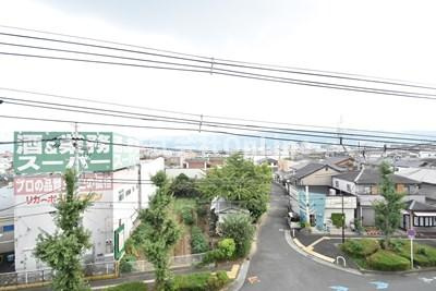 【展望】 | マイドリーム