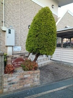 【その他】 | ドゥ－アルモニ－