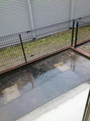 【その他】 | ドゥ－アルモニ－