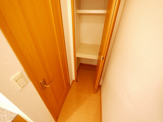 グレースピアＤの収納|大きなものも収納できそうです