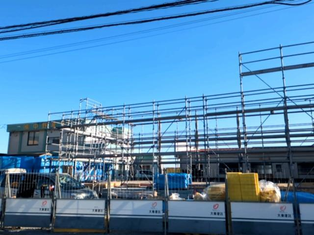 ピュアスプリング