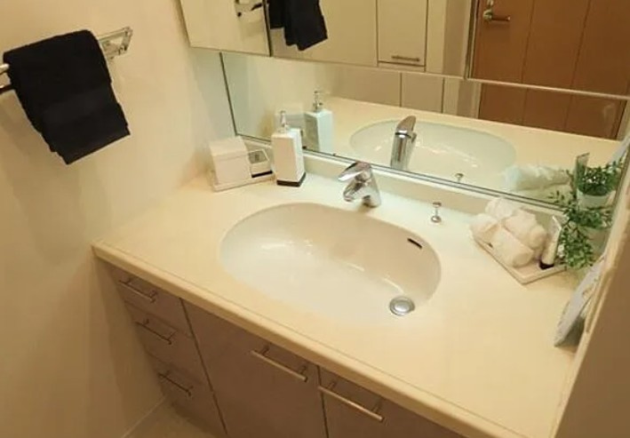 河田町ガーデン クラブフロアの独立洗面台