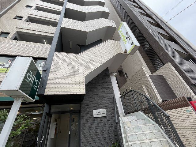 ＰＩＮＥ　ＳＥＡ　ＴＳＵＤＡＮＵＭＡのその他