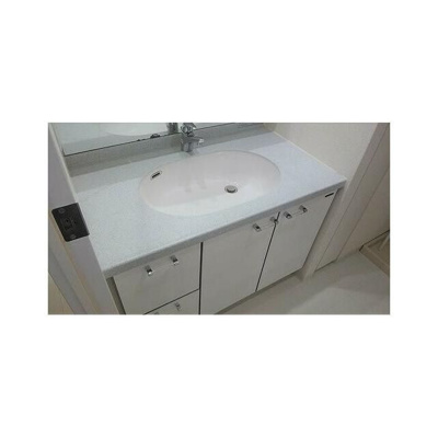 【洗面所】 | ライオンズステージ板橋 | 別号室参考写真です