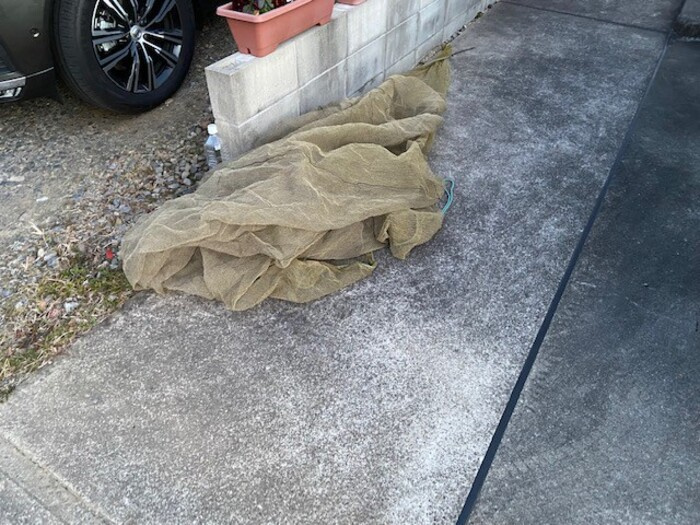 ヴィエントⅡ|専用ごみ置き場