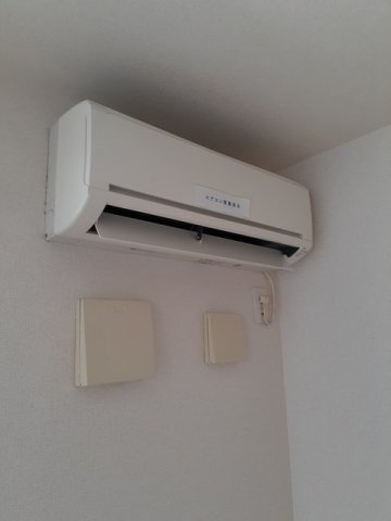 プラシード・ネオのその他