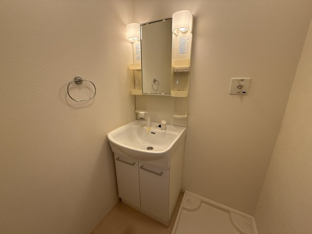 プリムールコートの洗面所