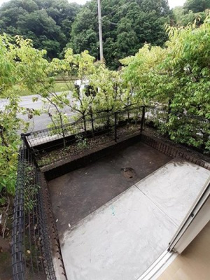 【庭】 | サンプレインＡ | お庭です