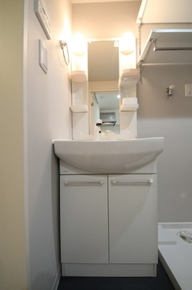 リアンの洗面所