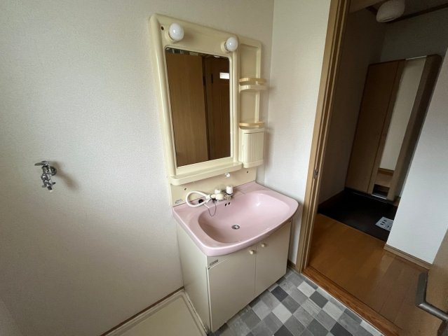 タウンサンロイヤルCの洗面所