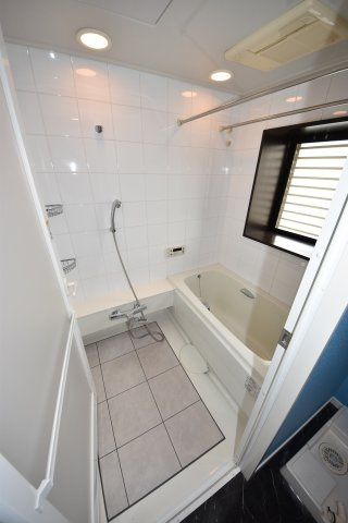 エイペックス東心斎橋Ⅱの浴室