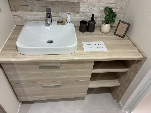 ライオンズたまプラーザ美しの森の独立洗面台