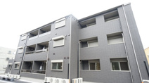 SOLANAⅡの画像